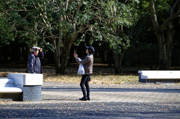 Couple Taking Memory Photos