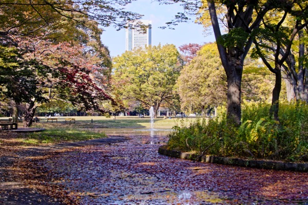 The Yoyogi Park Central Fountain