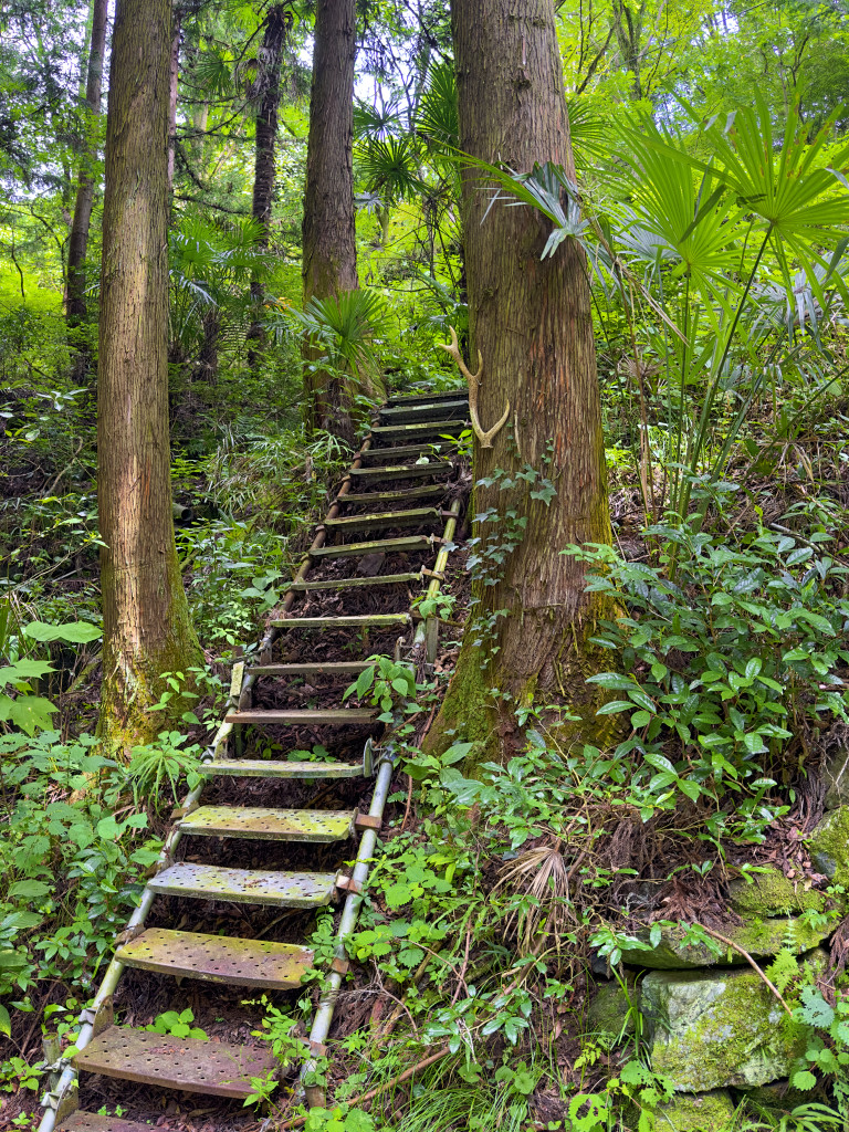 The entrance to our Gunma Prefecture property.